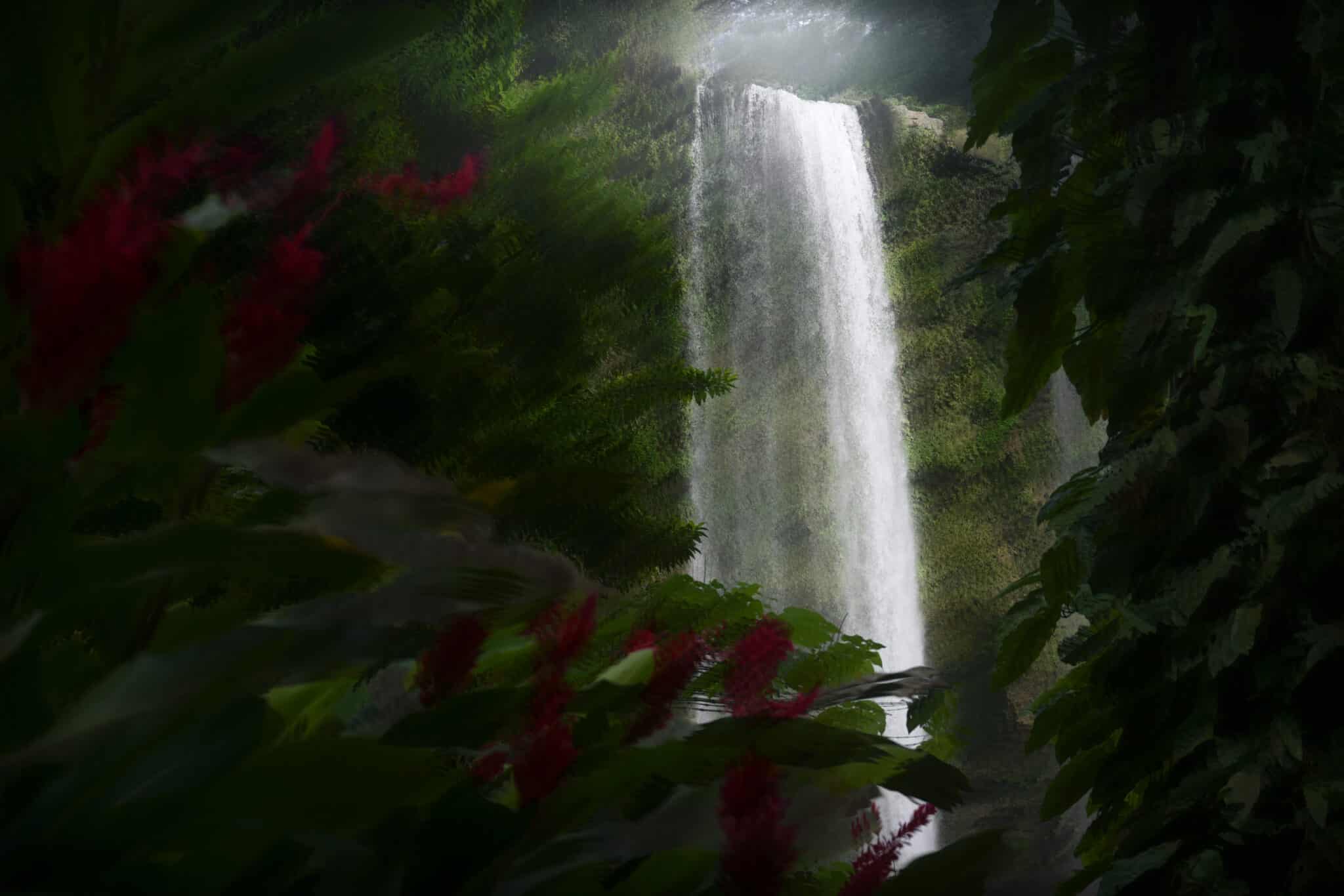 The Glimpse