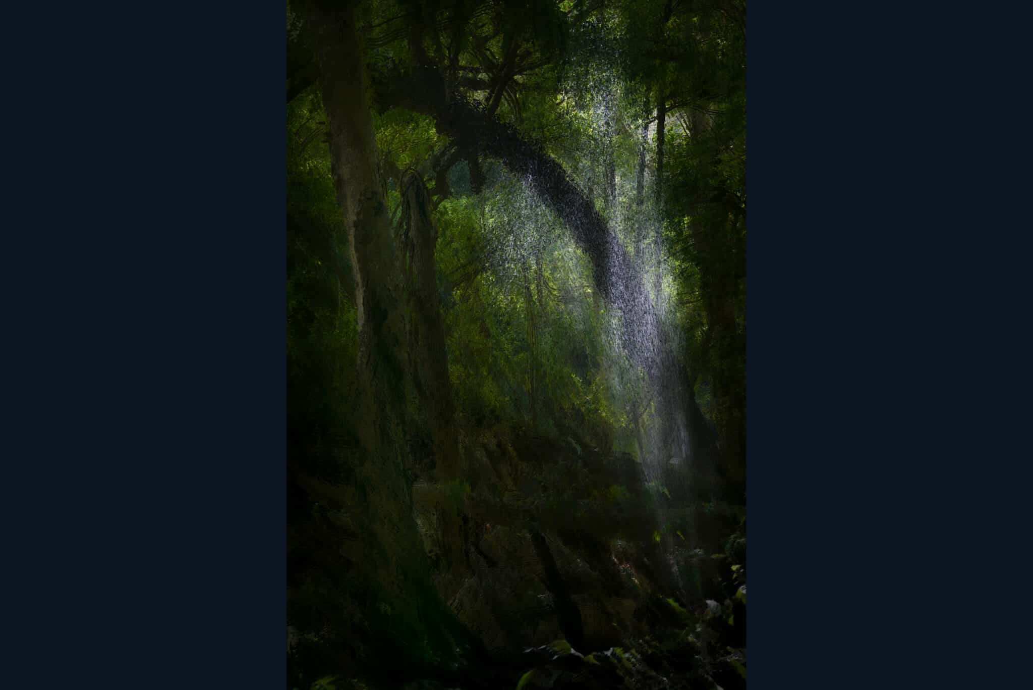 The Veil