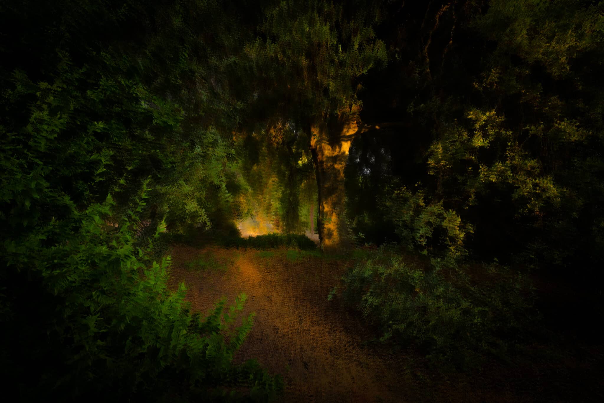 The Way Home